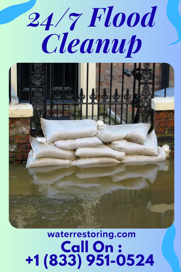 24/7 Flood Cleanup in Victoria Vera, TX