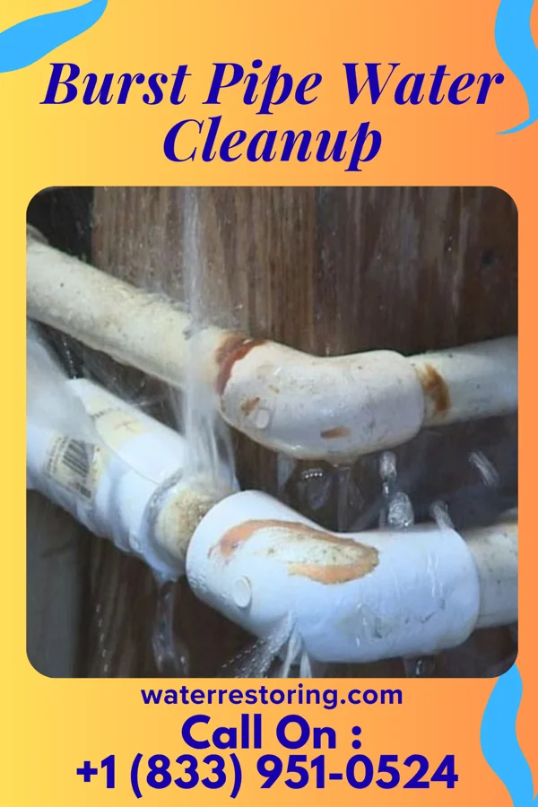 Burst Pipe Water Cleanup in Victoria Vera, TX