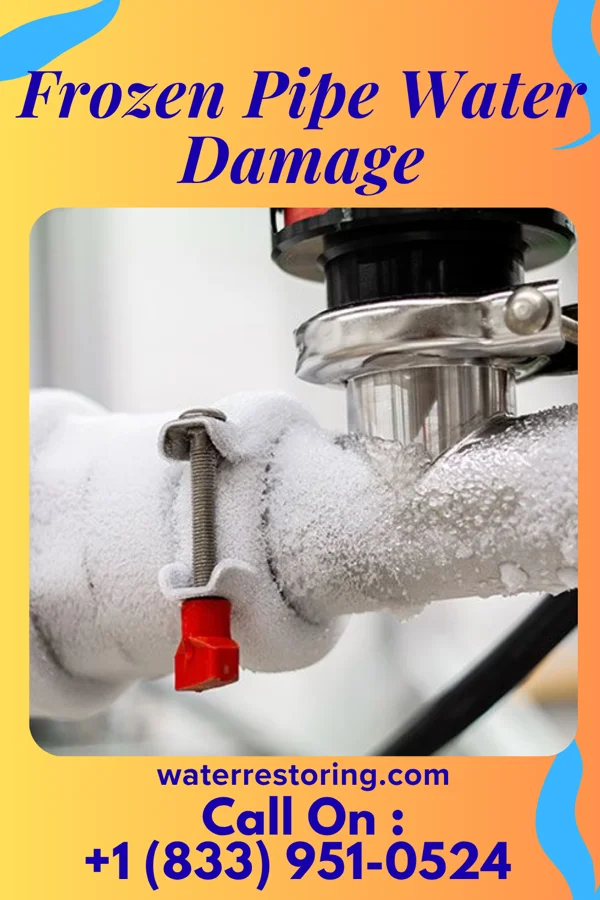 Frozen Pipe Water Damage in Victoria Vera, TX
